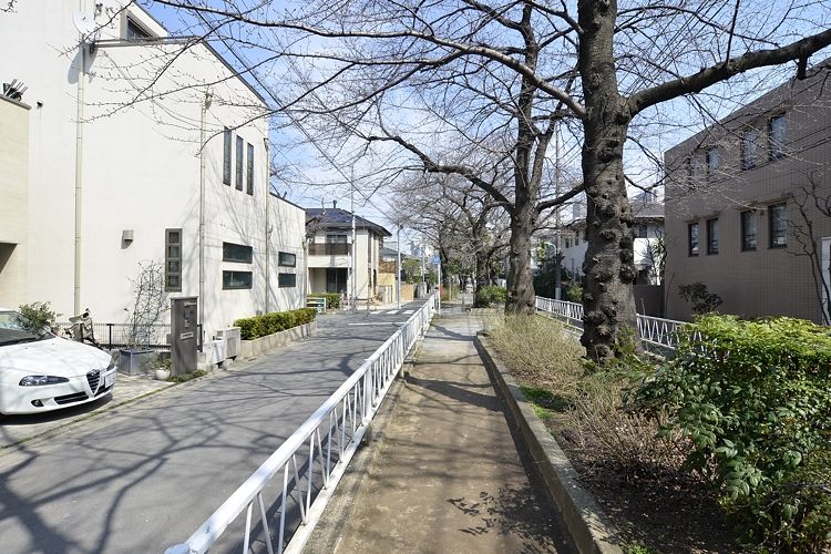 都立大学駅の賃貸：【穏やかな光に包まれて。】