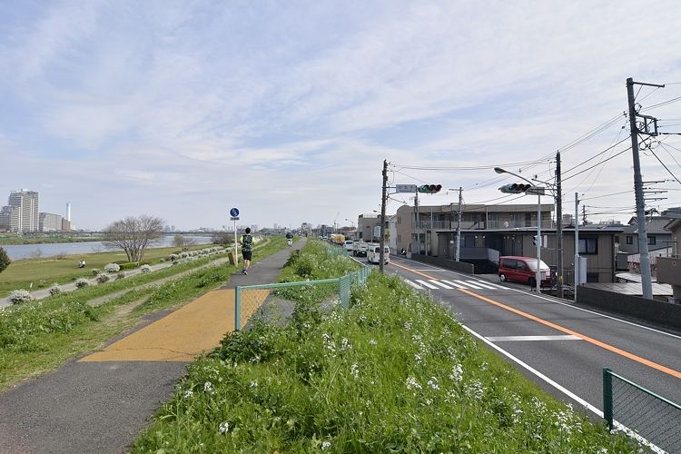 武蔵小杉駅の賃貸：【多摩川沿いを歩いて帰ろう。】